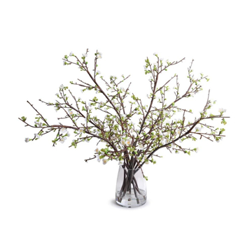 Picture of QUINCE ARRANGEMENT, WHITE