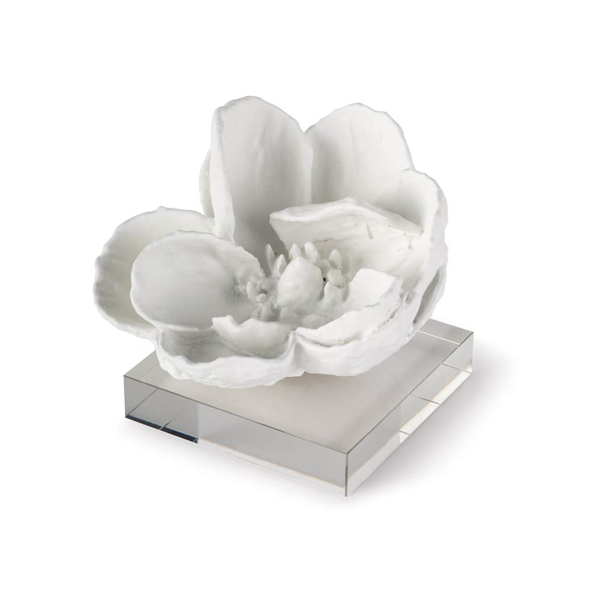 Picture of MAGNOLIA OBJET, WHITE