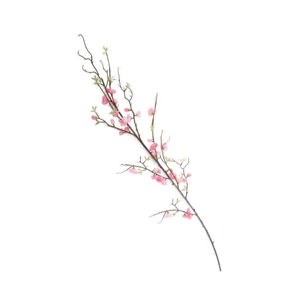 Picture of CHERRY BLOSSOM BRANCH, PK