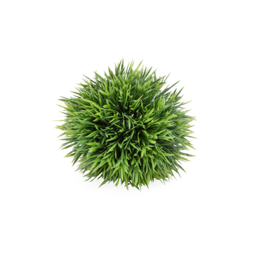 Picture of SPIKE GRASS BALL, 5