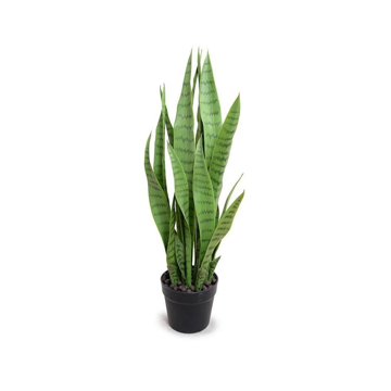 Picture of SNAKE AGAVE PLANT, 29"