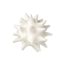 Picture of URCHIN MATTE WHITE, LG