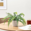 Picture of SOLARO FAUX POT'D BOSTON FERN