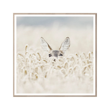 Picture of PEEKABOO DEER